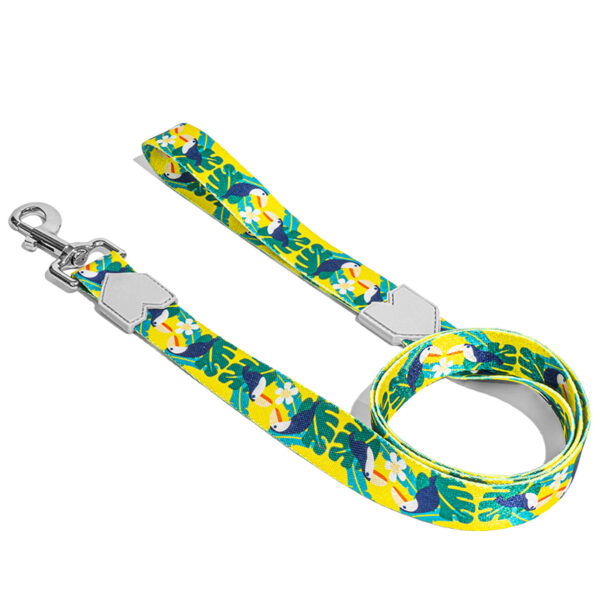 OEM_Pattern_Polyester_Pet_Dog_Leash