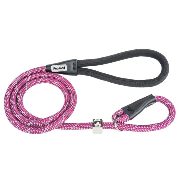 Bully_Large_Dog_Choice_P_Shape_Nylon_Rope_Training_Dog_Leash