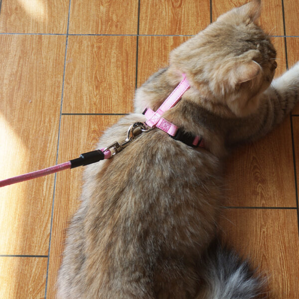 Mini_Dog_No_Pull_Cat_Harness_And_Leash_Set