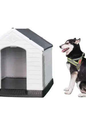 Dog house