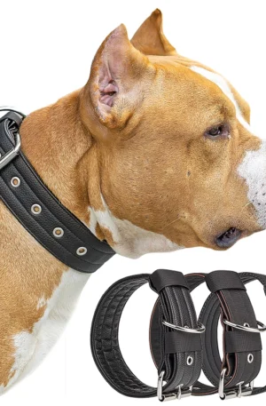 Pet Dog Collar